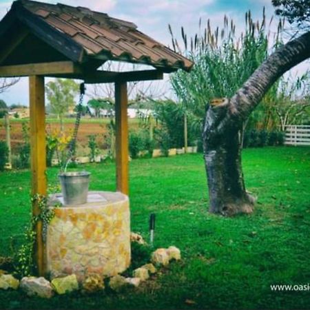 Oasi Di Francesca B&B Pontinia Buitenkant foto